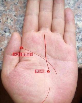 大器晚成手相图解一般中年后才有成就