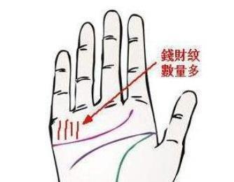 大富大贵的女人手相图解大全财旺钱多 大富大贵的女人手相图解大全财旺钱多