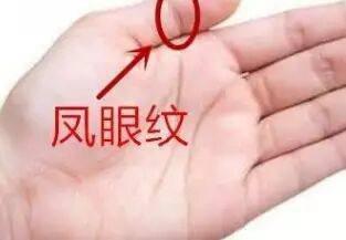 大富大贵的女人手相图解大全财旺钱多 大富大贵的女人手相图解大全财旺钱多