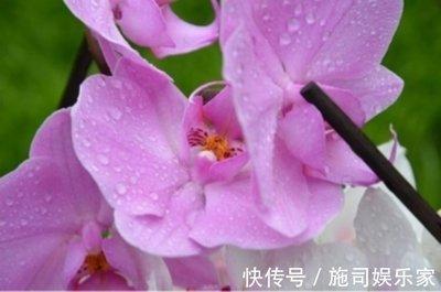 喜欢拈花惹草的生肖 感情中花心的生肖