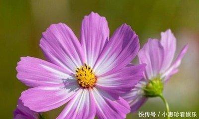 喜欢走捷径的星座有什么 任何事情都依靠关系