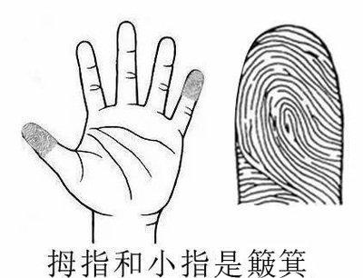 大拇指头形状揭示了一个人的性格以及命运好不好