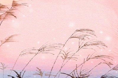 女人额头面相图解 额头高宽的女人面相