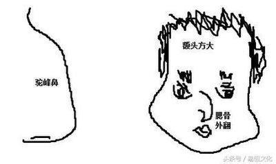 女人驼峰鼻面相解释分析 驼峰鼻女人性格命运怎么样