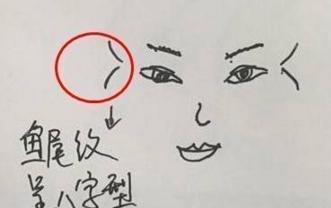 女人鱼尾纹面相有何含义 女人长鱼尾纹意味着什么