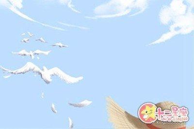 女人鼻子有点歪的命运 为什么说女人鼻子歪不好