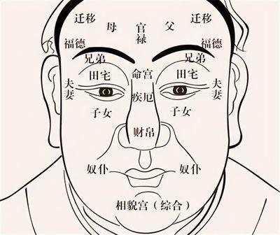 嘴大人的面相 看嘴巴大的人命运如何