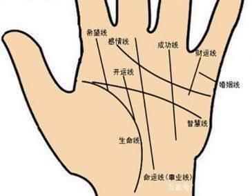 如何从手相来看财运的好坏 财运好不好通过手相来看