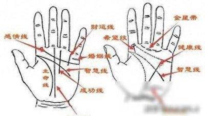 如何从手相看个人的财运好坏 手相分析财运如何