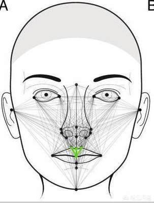 女人鼻梁突出的面相好吗 哪几种鼻子面相最佳