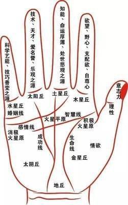 如何从手相观察个人的偏财运财富收获多