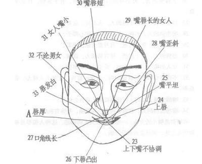 嘴巴歪的人面相代表什么 什么样的嘴巴面相最好