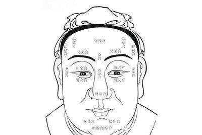 如何从面相中的鼻子看命运 分析鼻子面相好不好