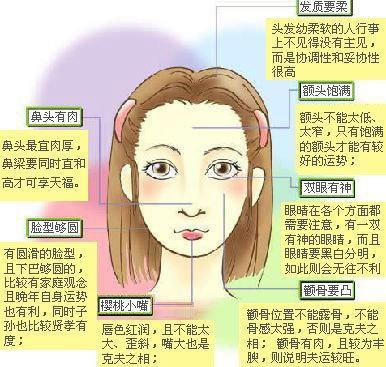 大脸是旺夫吗大脸面相女分析命运