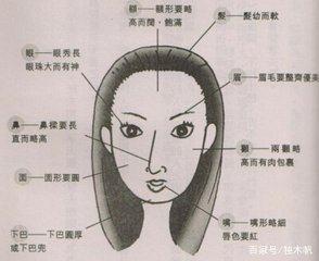 女子旺夫相是什么旺夫相是什么样子