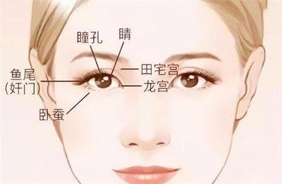 如何从鼻子面相分析命运 鼻子面相该如何看