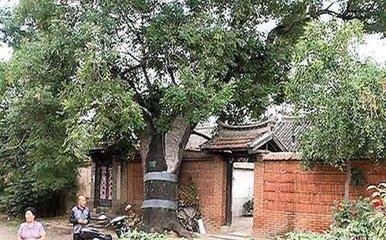 大门前有这几样东西 住宅风水难以提升