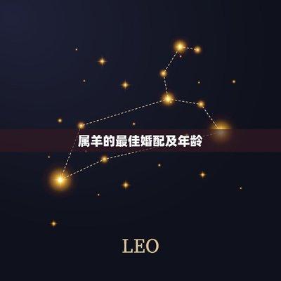 如何和属猪的人相处 最佳好友代表