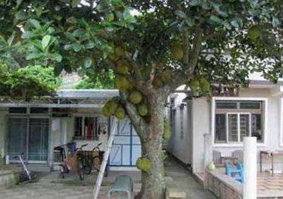 如何增加新住宅的阳气保证风水出色