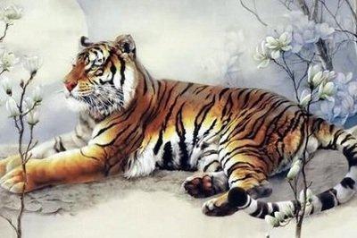 如何增强运气适合生肖虎今年增强运气的方法介绍