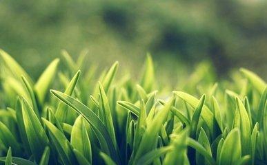 姓杨女孩起名字大全 最新最特别的名字如何起