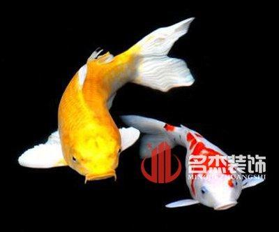 如何化解办公室内的风煞气掌握正确的技巧