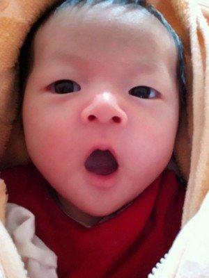 姓杨的孩子怎么取名字 起名必看的技巧