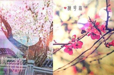 如何化解桃花煞(女人化解桃花煞的方法)
