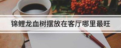 客厅光线不好养什么绿植可以改善客厅风水 客厅光线不好养什么绿植可以改善客厅风水