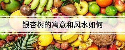 如何提升家中的财运门前风水很重要