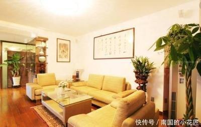 客厅摆什么招财最灵 招财效果最好的是什么