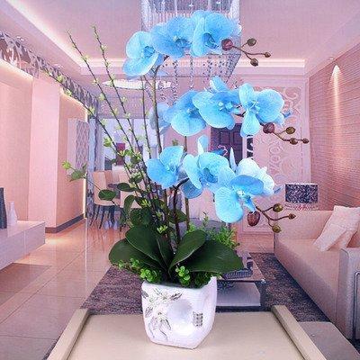 客厅摆放假花对住宅风水有何负面影响