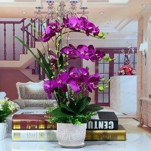 客厅摆放假花对住宅风水有何负面影响