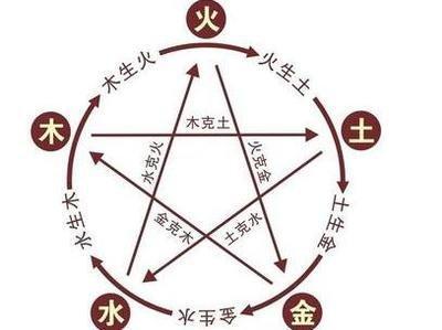 如何看八字五行(五行属什么命怎么算)