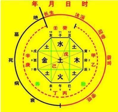 如何看八字五行(五行属什么命怎么算)