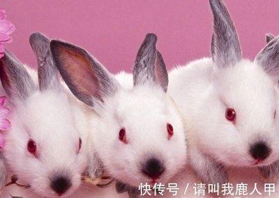 如何看出爱情有没有未来 属兔人会看这几个方面