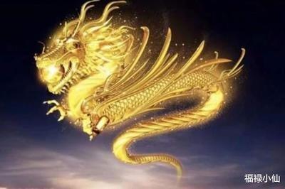 如何看十二生肖在2025年运势情况
