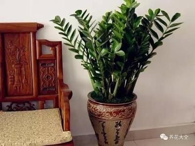 家居风水学有什么新手入门基本常识知道吗