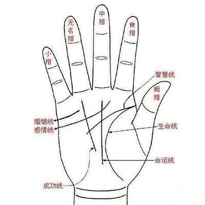 如何看手相你一生中的财富是多还是少