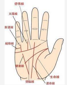 如何看手相你一生中的财富是多还是少