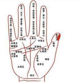 如何看手相女生图解 女生手相该怎么看