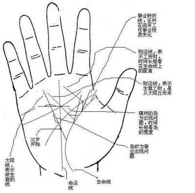 如何看手相推测命运 手相与命运有什么关系