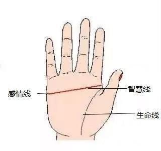 如何看手相断掌是什么意思 断掌的人命运如何