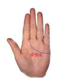 如何看旺夫的女人手相呢 旺夫的女人手相怎样
