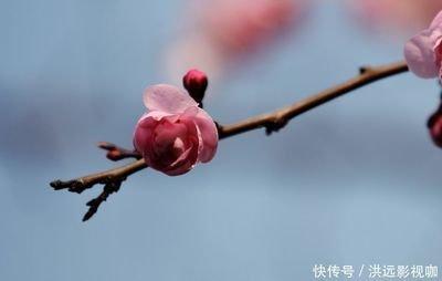 娶老婆快看女属猴的和什么属相最配