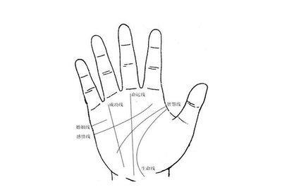 如何看男人的手相 命好的男人手相怎样