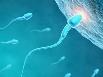 婚后好男人的星座 结婚后有责任感的好男人