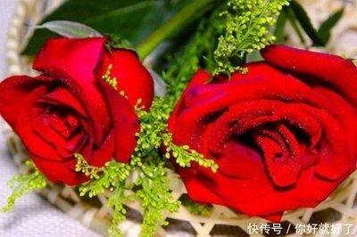婚后老公宠爱的生肖女 结婚之后会很幸福的生肖女