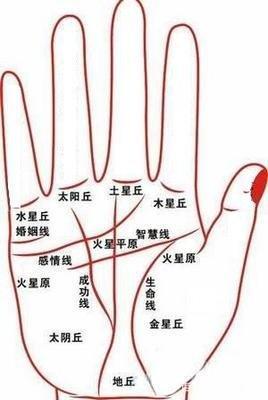 婚姻不好的手相有哪些感情之路多波折