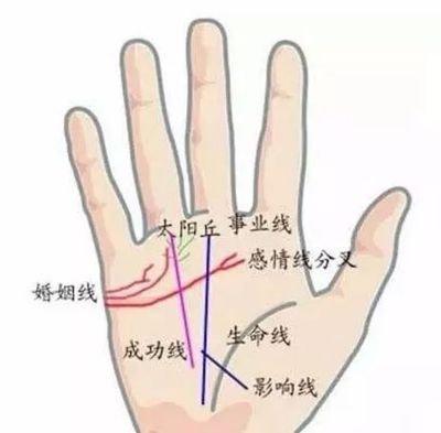 婚姻不好的手相有哪些感情之路多波折